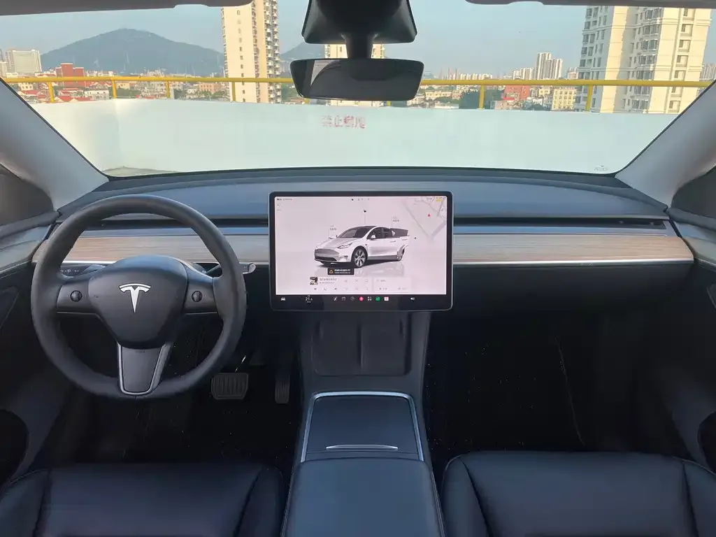 Tesla Model Y — фото 2