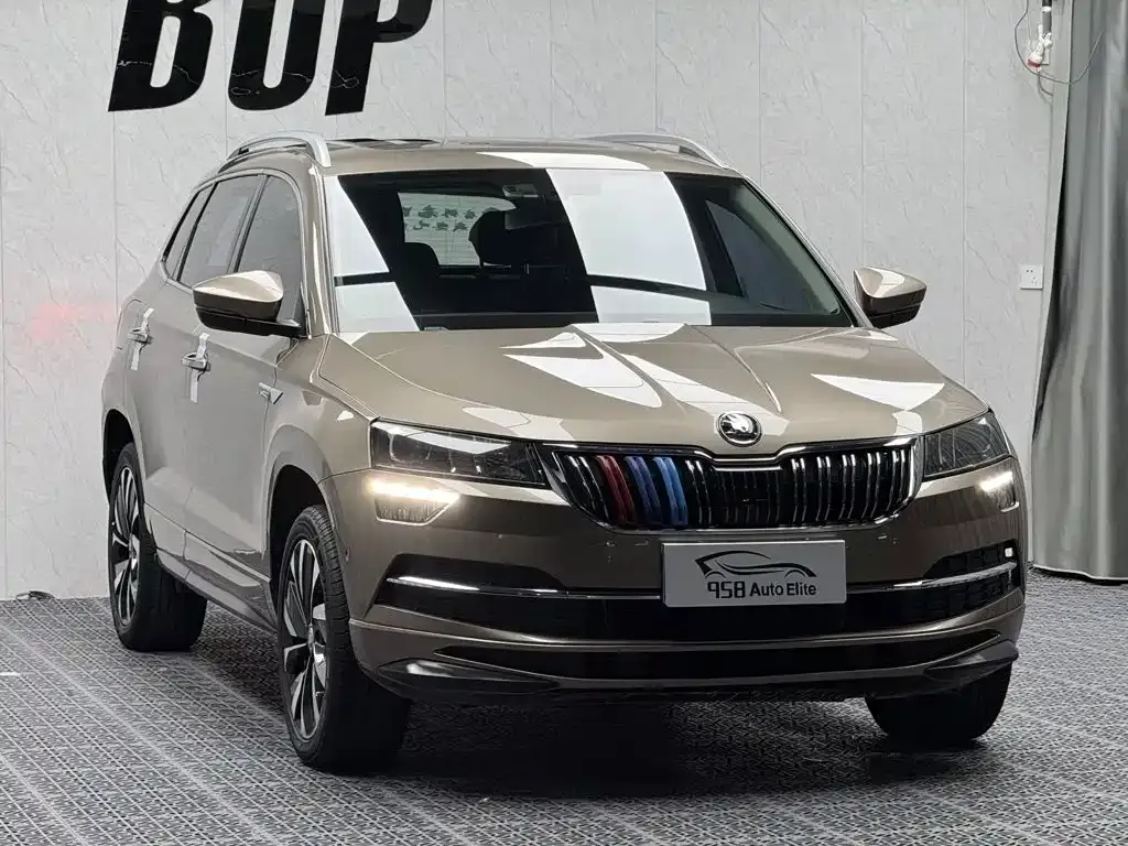 Skoda Karoq — фото 10