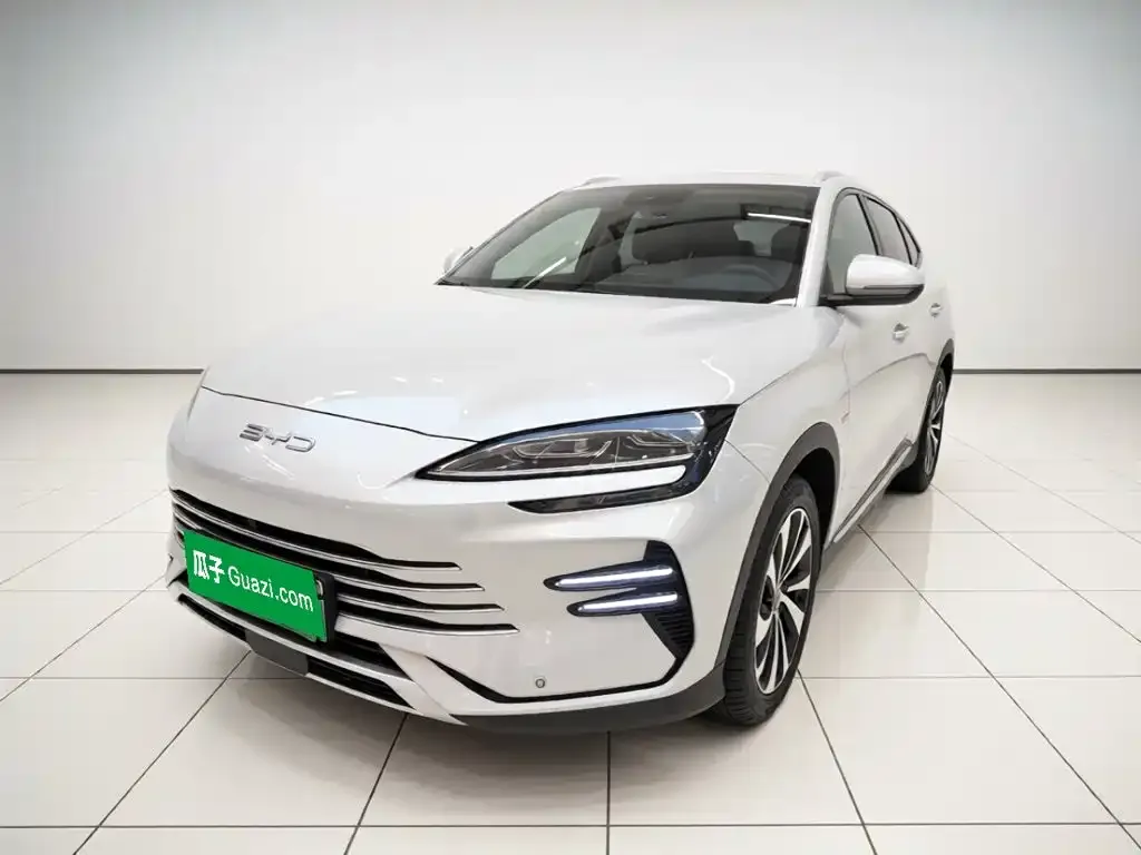 BYD PLUS New Energy — фото 1