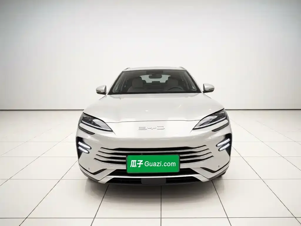 BYD PLUS New Energy — фото 8