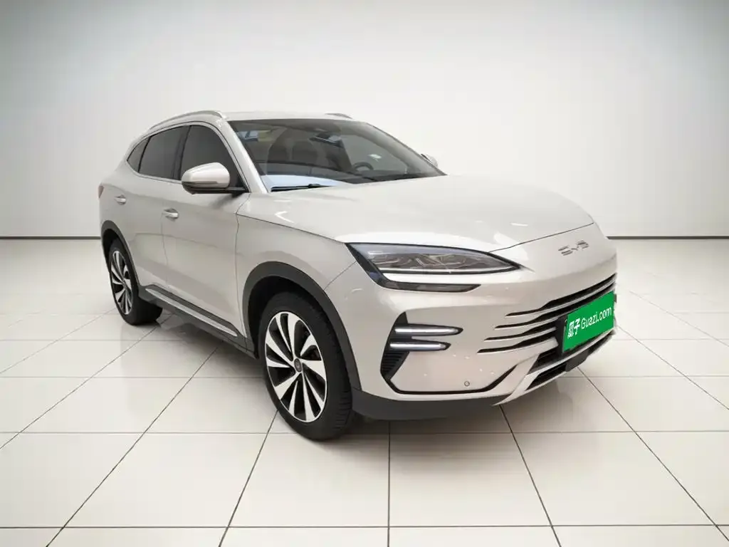 BYD PLUS New Energy — фото 2