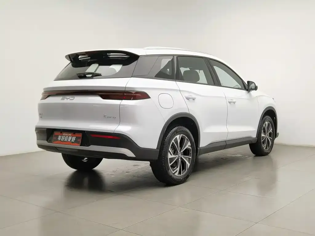 BYD Pro New Energy — фото 9