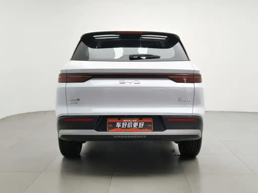 BYD Pro New Energy — фото 4