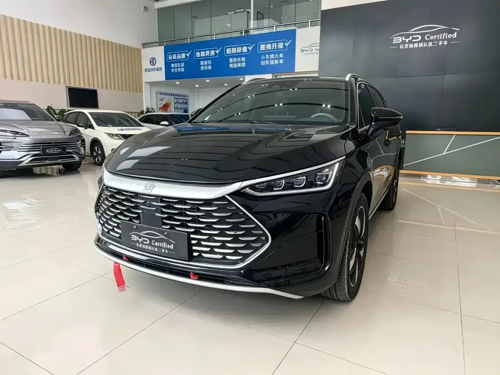 BYD Tang New Energy — фото 1