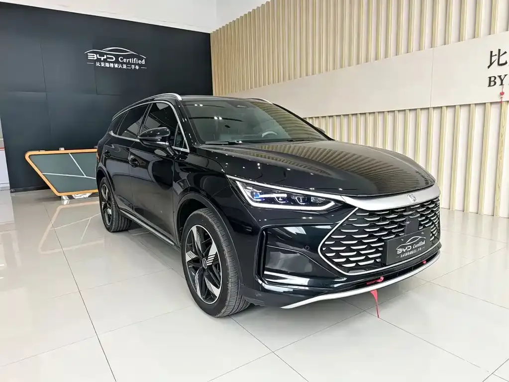 BYD Tang New Energy — фото 10
