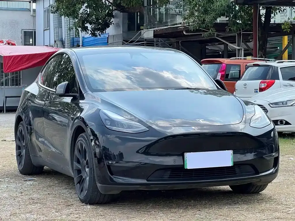 Tesla Model Y — фото 5