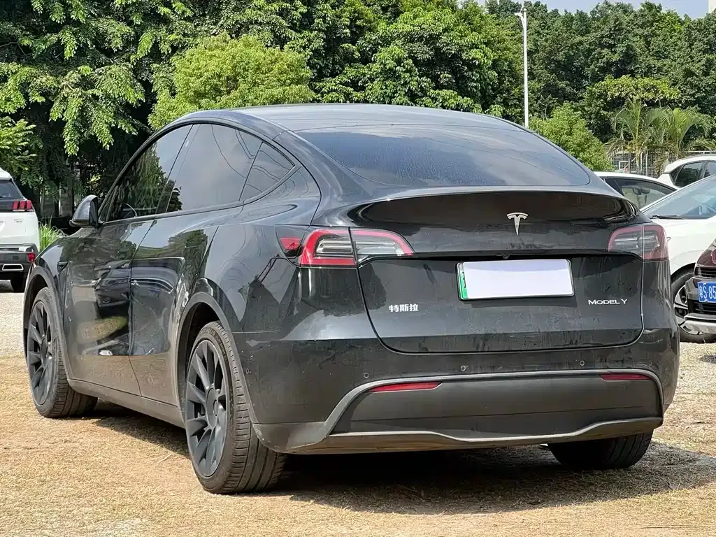 Tesla Model Y — фото 10