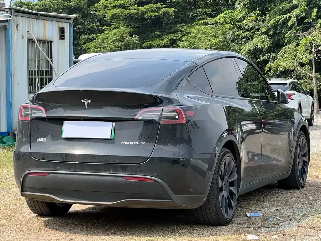 Tesla Model Y — фото 4