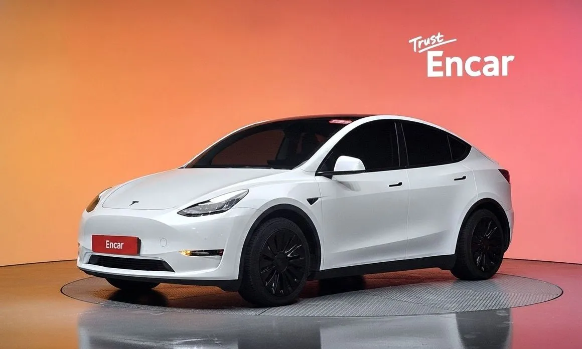 Tesla Model Y — фото 1