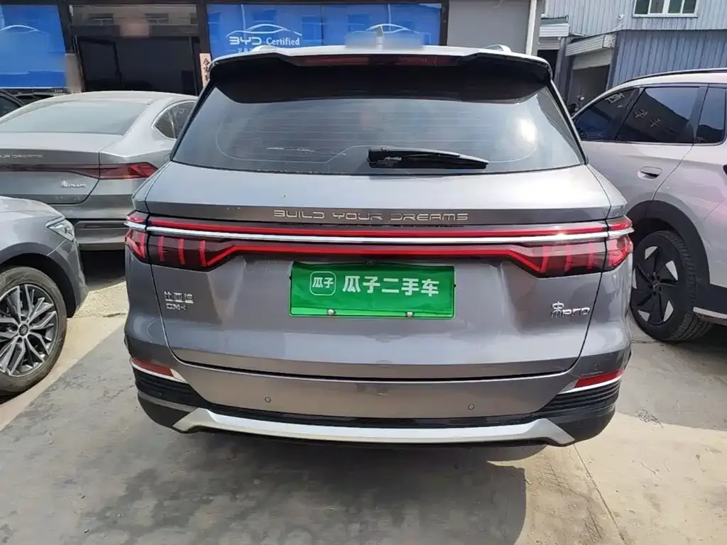 BYD Pro New Energy — фото 10