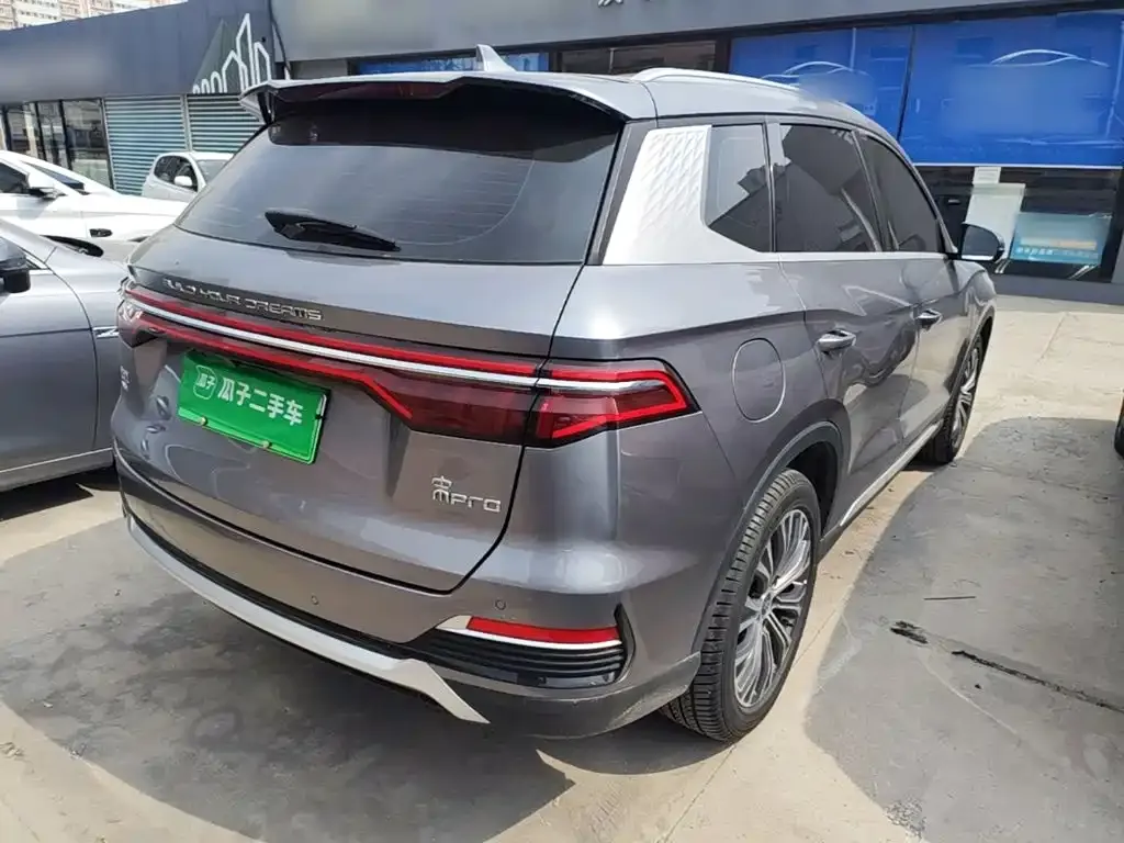 BYD Pro New Energy — фото 7