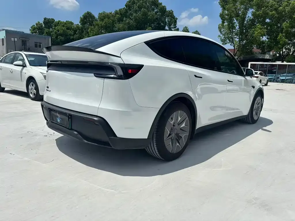 Tesla Model Y — фото 8