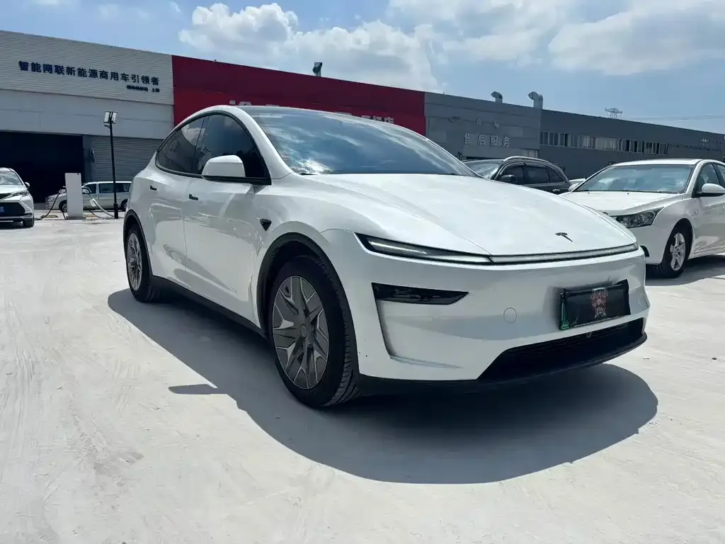 Tesla Model Y — фото 3