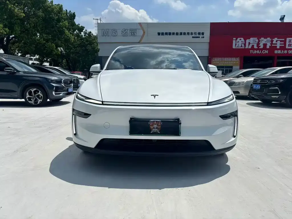 Tesla Model Y — фото 6