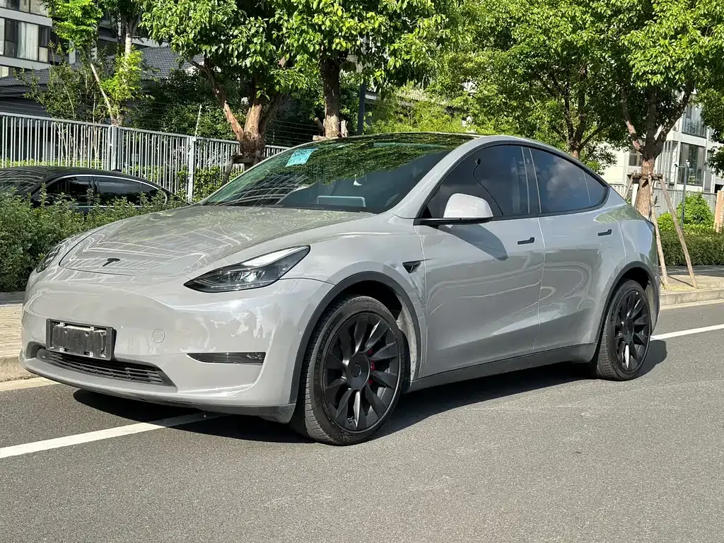 Tesla Model Y — фото 1