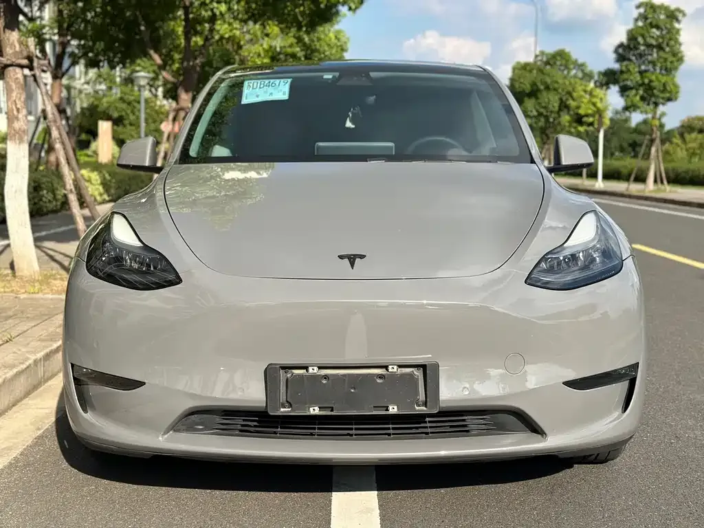 Tesla Model Y — фото 5
