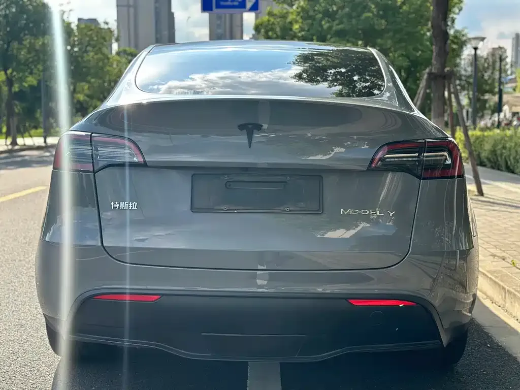 Tesla Model Y — фото 6