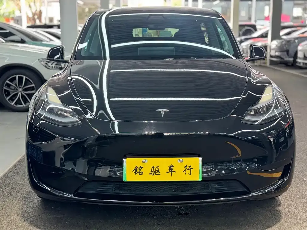 Tesla Model Y — фото 3