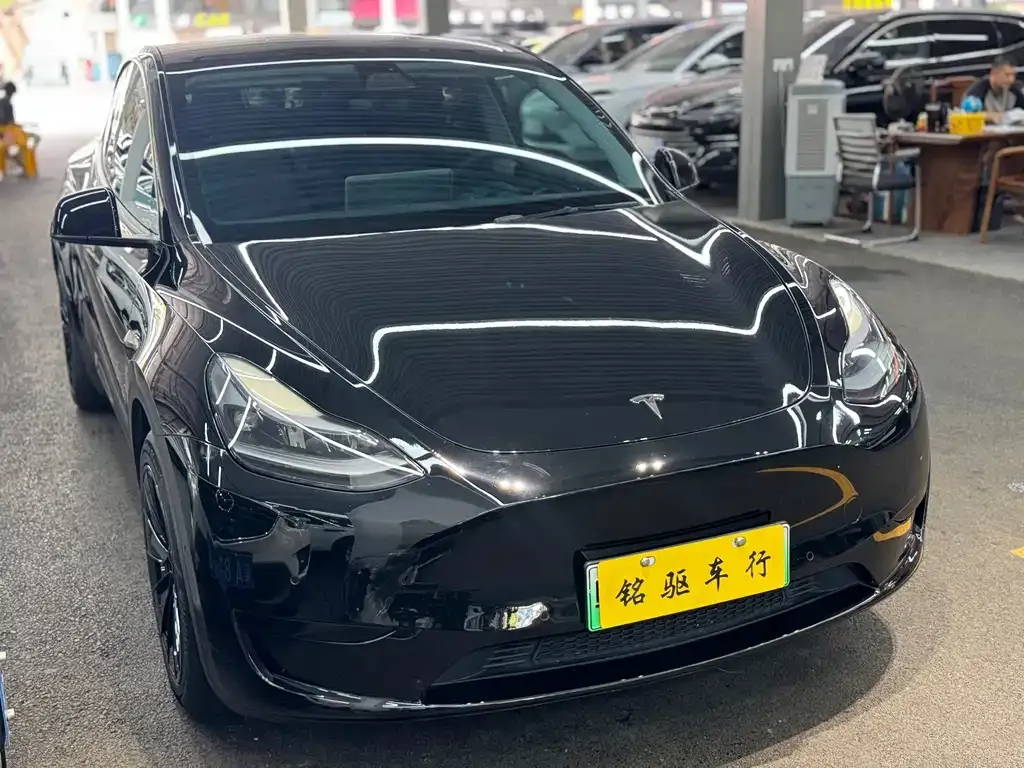 Tesla Model Y — фото 10