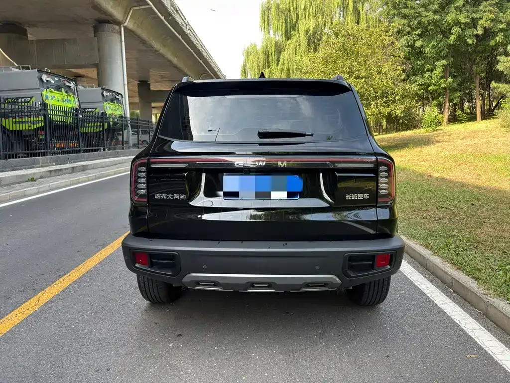 Haval Big Dog — фото 10