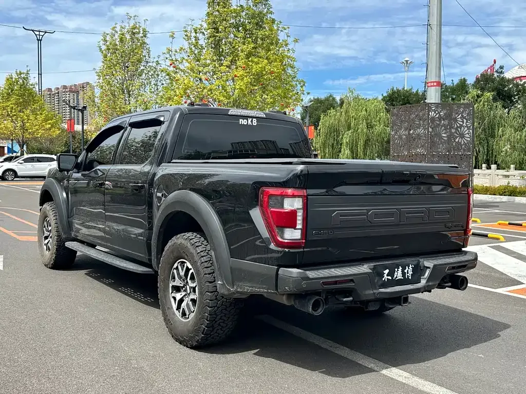 Ford F-150 Raptor — фото 8