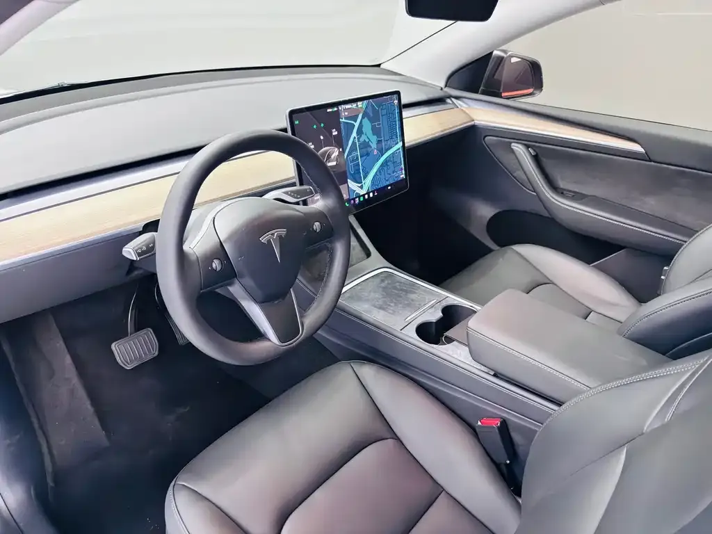 Tesla Model Y — фото 9