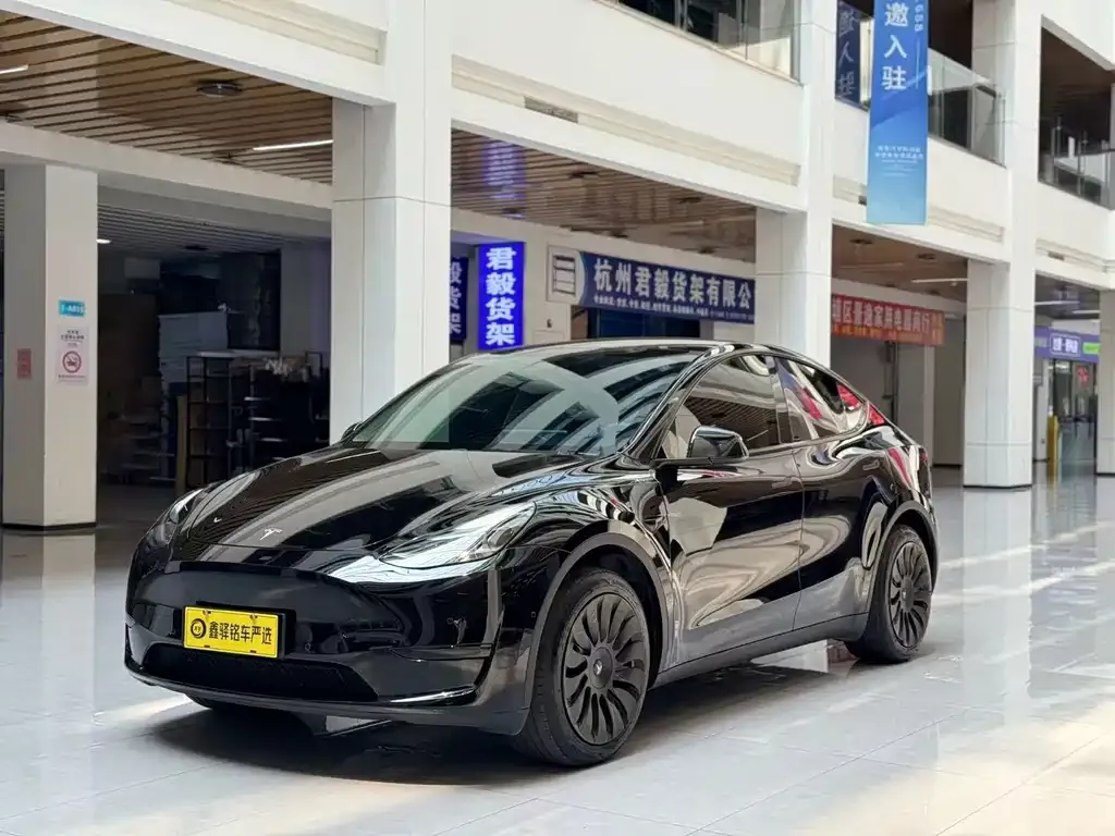 Tesla Model Y — фото 1