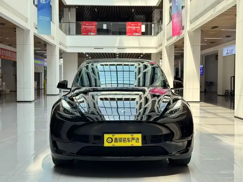 Tesla Model Y — фото 10