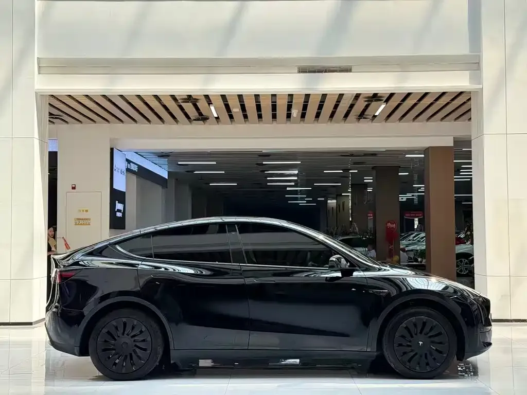 Tesla Model Y — фото 2