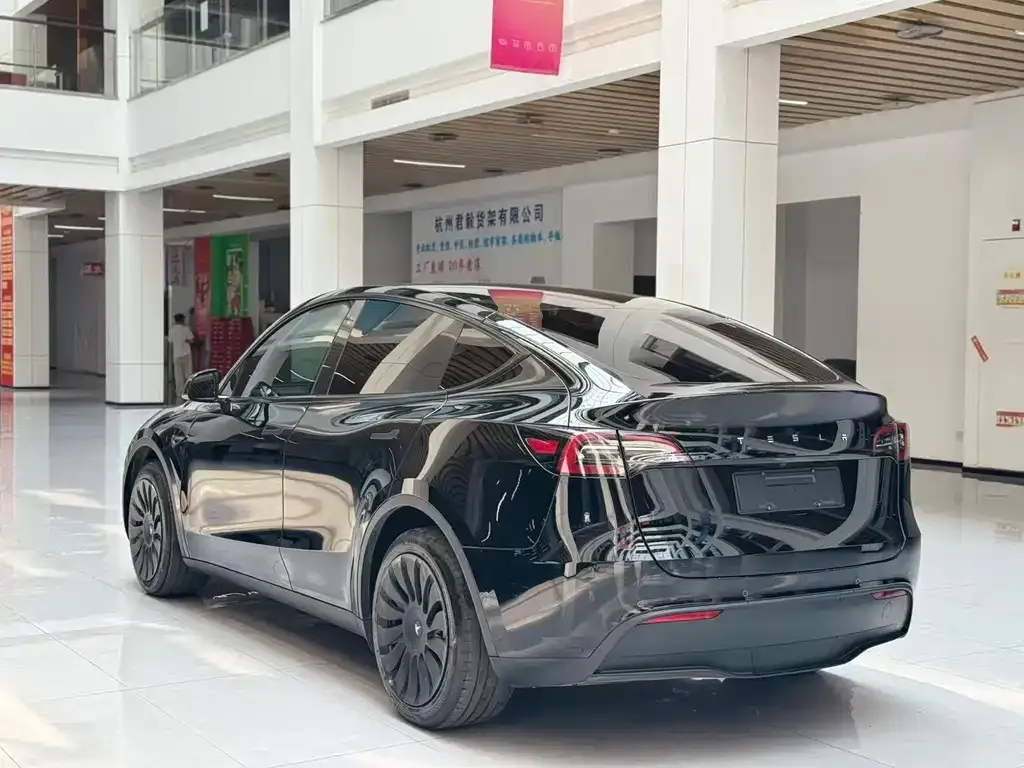 Tesla Model Y — фото 6