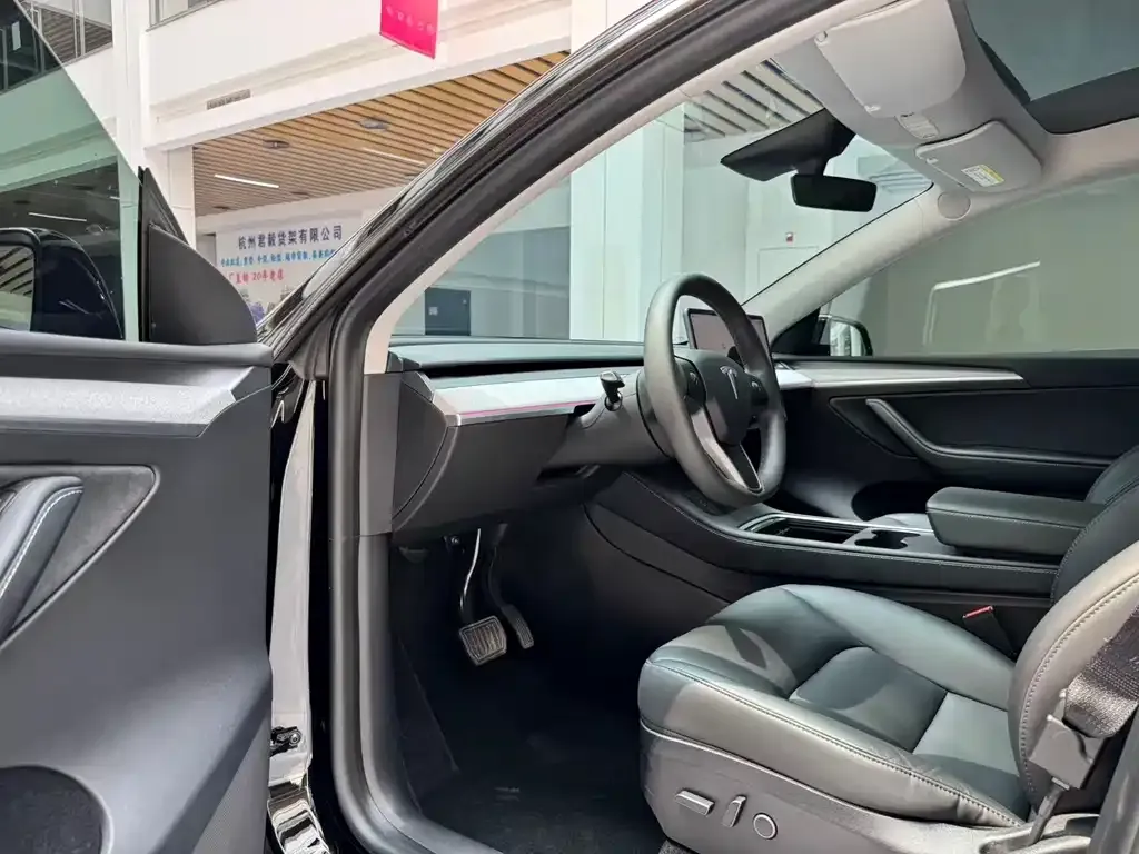 Tesla Model Y — фото 8