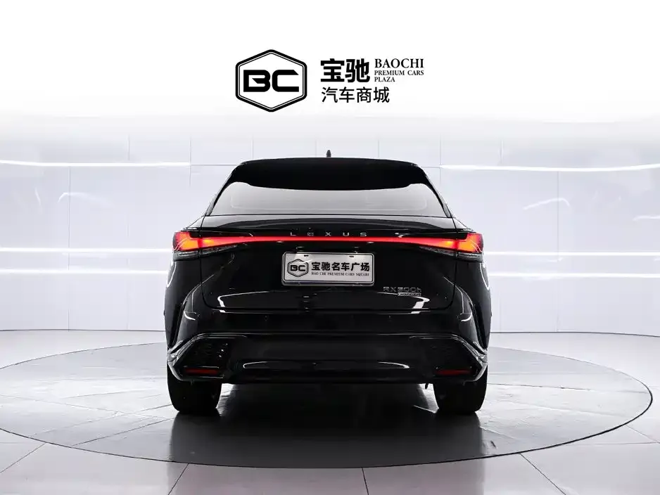 Lexus RX — фото 10