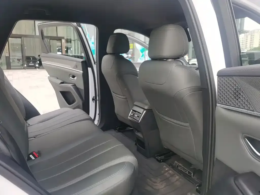 BYD Pro New Energy — фото 2