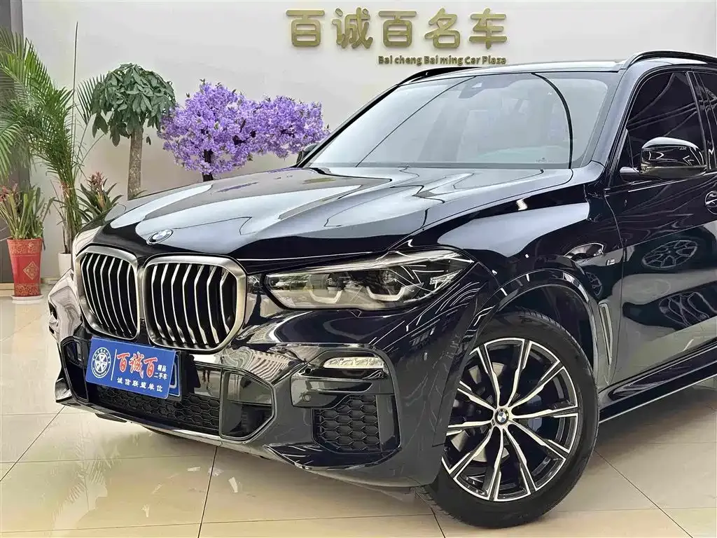 BMW X5 (Import) — фото 9