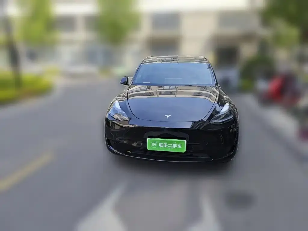 Tesla Model Y — фото 10