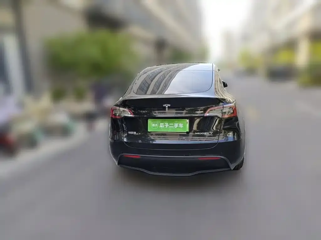 Tesla Model Y — фото 9
