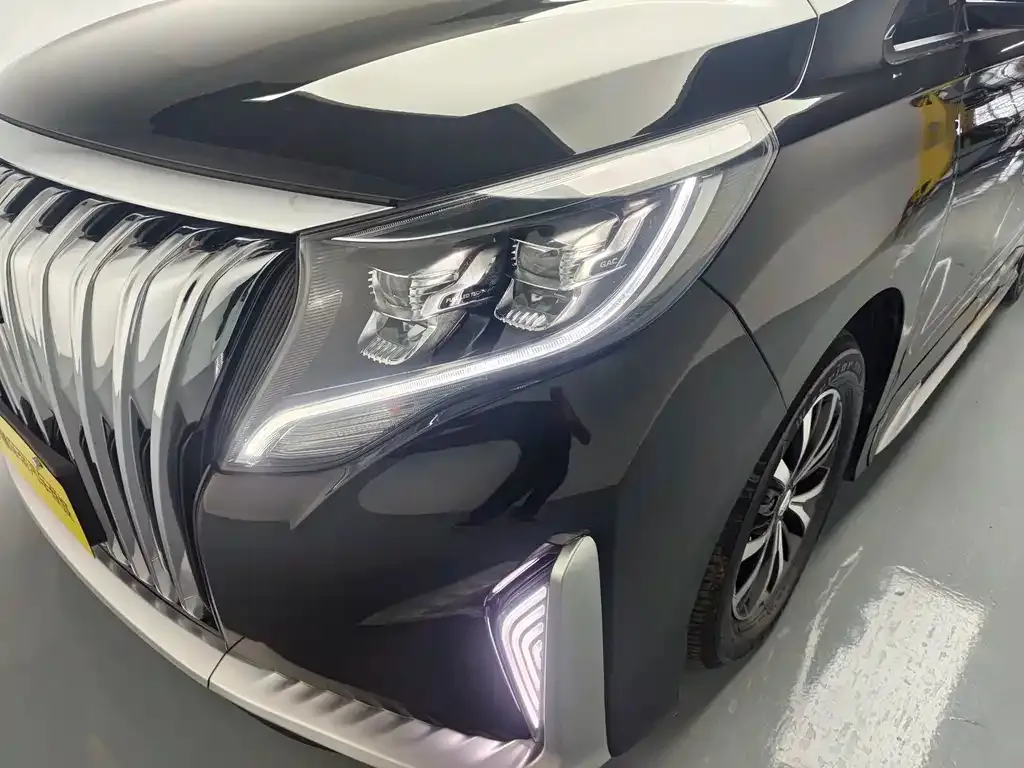 GAC Motor Trumpchi M8 — фото 5