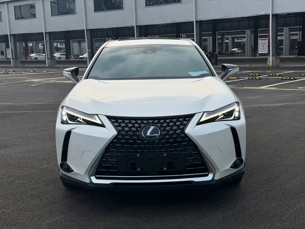 Lexus UX New Energy — фото 9
