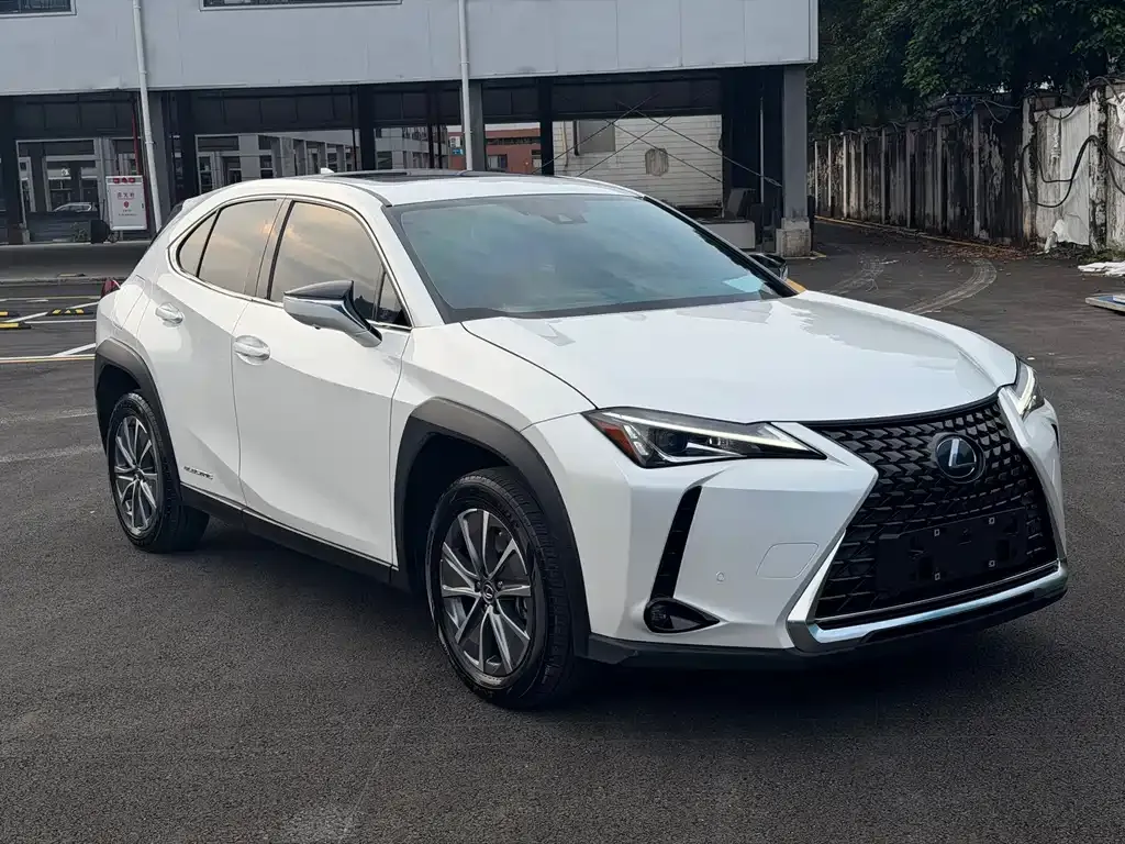 Lexus UX New Energy — фото 10