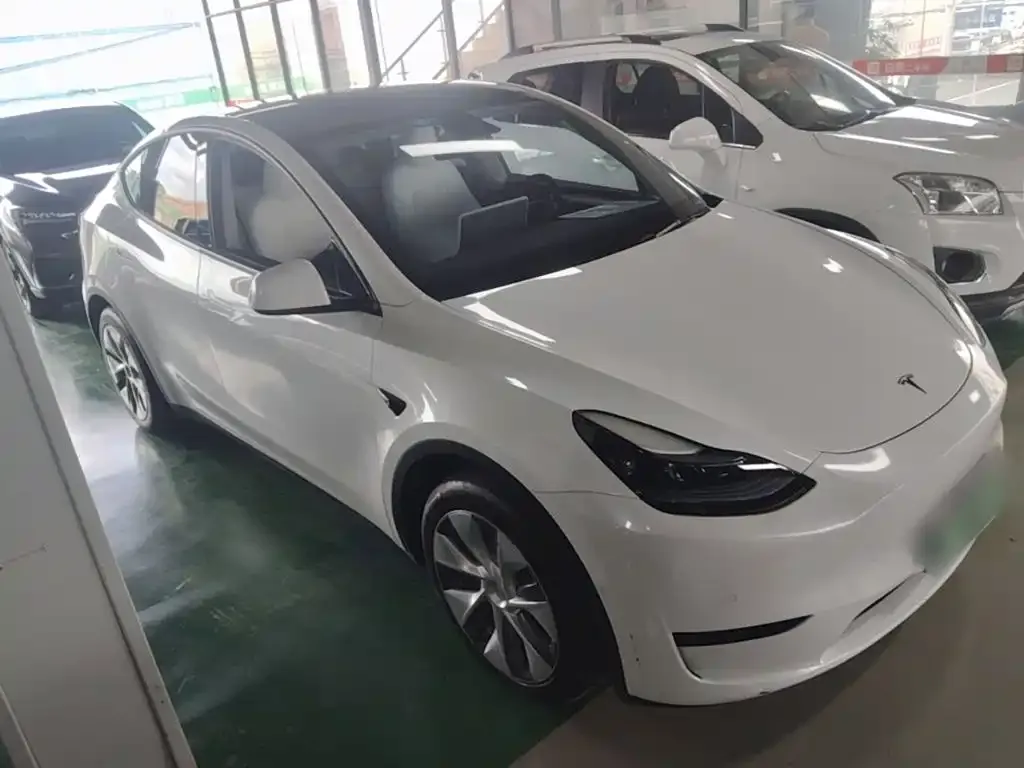 Tesla Model Y — фото 9