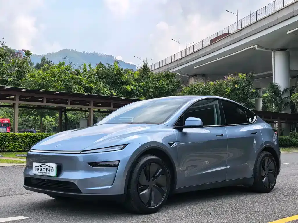 Tesla Model Y — фото 1