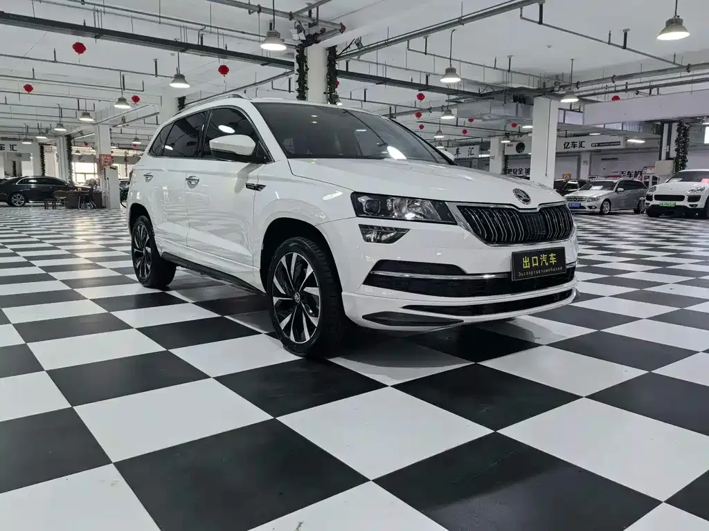 Skoda Karoq — фото 6