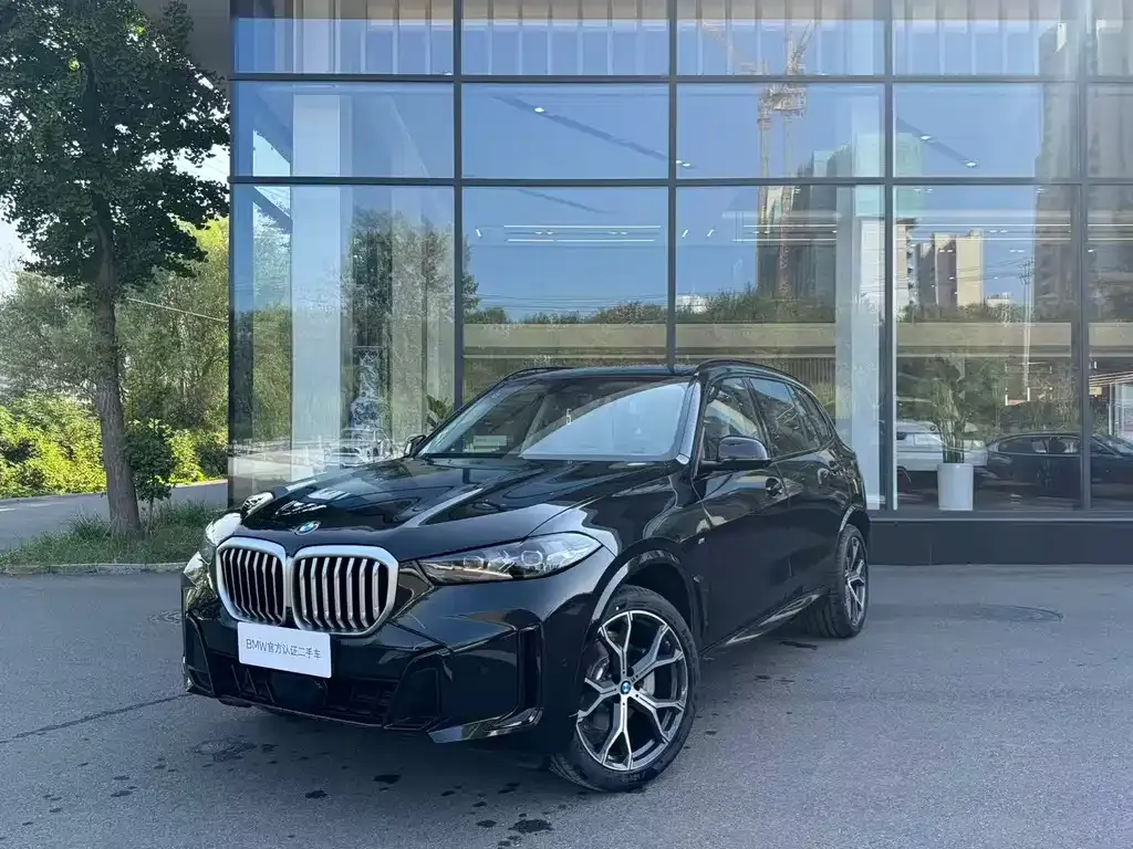 BMW X5 — фото 9
