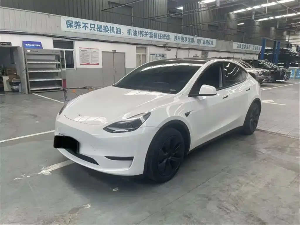 Tesla Model Y — фото 1