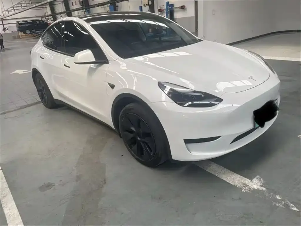 Tesla Model Y — фото 2