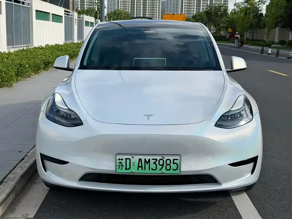 Tesla Model Y — фото 1