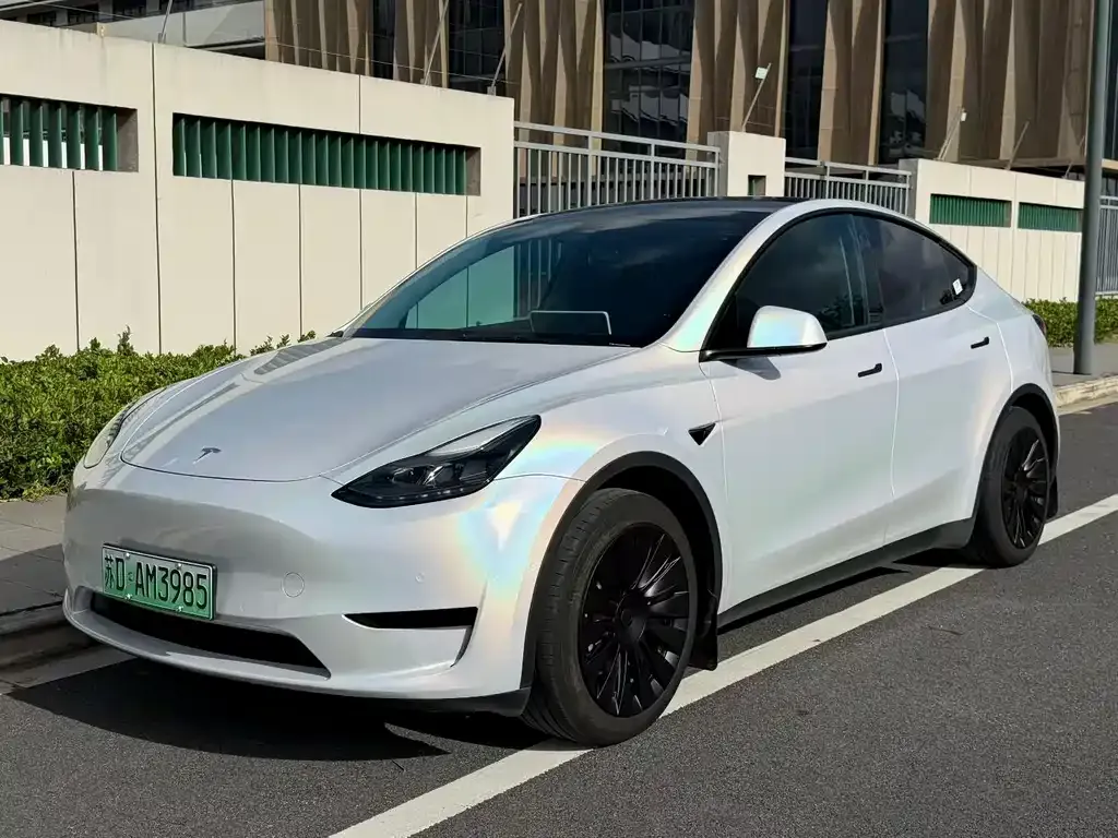 Tesla Model Y — фото 2