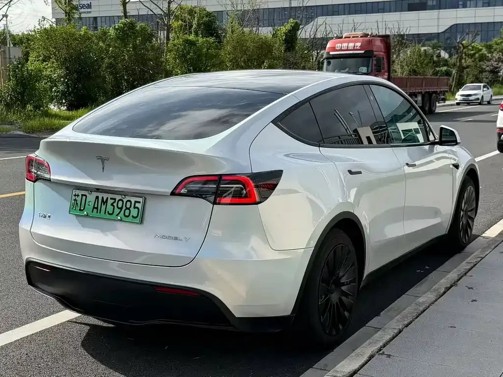 Tesla Model Y — фото 10