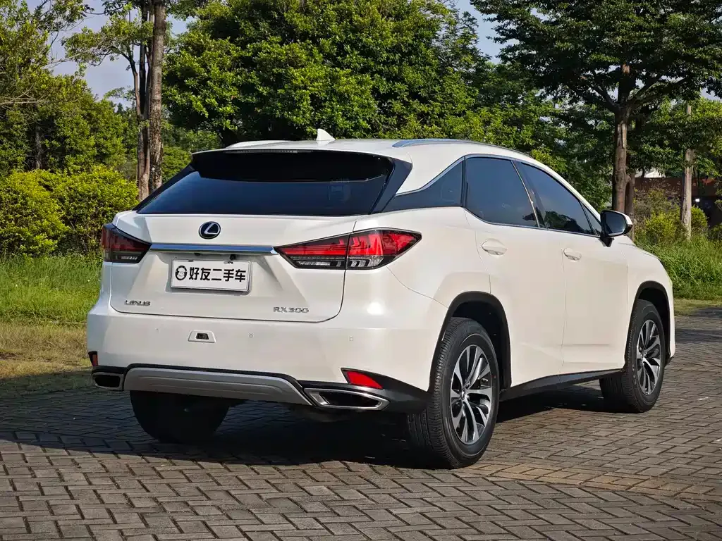 Lexus RX — фото 9