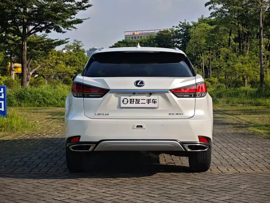 Lexus RX — фото 10
